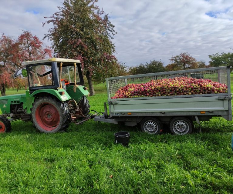 Grüner Traktor mit Anhänger, beladen mit bunten Blumen auf einer Wiese.